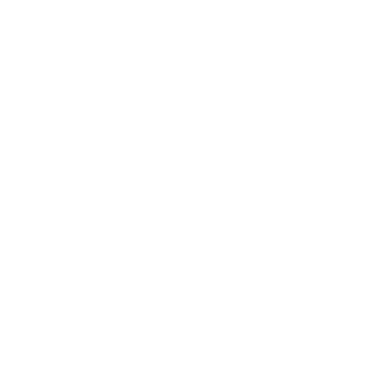 instagram-icon